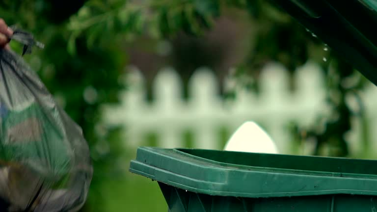 Best Shed Removal  in Northview, MI
